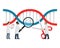 CRISPR Cas9 genetic DNA spiral