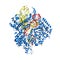 CRISPR/Cas9 genome engineering system