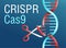 Crispr cas9 - research of genetic engineering