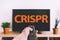 CRISPR genome engineering