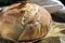 Crispy just baked Sourdough bread loaf resting after just being baked in oven
