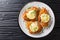 Crispy romano chicken breast fried breaded served with lemon and green onion close-up on a plate. Horizontal top view