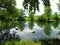 Crnava lake near Preddvor in Gorenjska region of Slovenia with swans