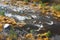 Crni Rzav river  detail, Zlatibor, Serbia. Mountain landscape in autumn with rocky river.