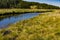 Crni Rzav river on Zlatibor mountain in Serbia