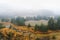 Crni Rzav river, Zlatibor, Serbia. Autumn river landscape with foggy atmosphere