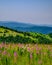 Crni Vrh Black Peak mountain in eastern Serbia, near the city of Bor