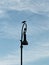 A croaking raven with its beak open sitting on a lamp post