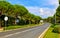 Croatia. Asphalt highway road among conifer trees