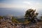 Croatia - Biokovo Nature Park and Adriatic sea at sunset, Sveti Jure