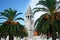 Croatia, church tower, palm trees