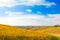 Croatia, Daruvar, beautiful colorful vineyards in autumn