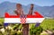 Croatia Flag wooden sign with winery background