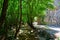 Croatia Paklenica National Park path under trees in the Croatia, Europe