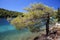 Croatia: Paradise in Mljet island