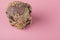 Crocante chocolate cookies on a pink background