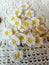 Crochet daisy flowers pattern white floral white background texture