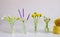 Crochet handmade product for home decoration, dandelion, lavender, daisy flower in glass jar on white background