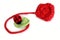 Crochet ladybird on the leaf near crocheted rose