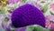 Crochet purple heart on flowery cotton material background