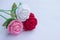 Crochet roses with yarn for giving to those we love, Valentine`s day.