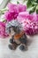 Crocheted hedgehog with pink peony flower on wooden background