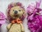Crocheted hedgehog with pink peony flower on wooden background
