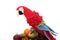 Crocheted Red And Blue Macaw On Faux Fruits