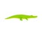 Crocodile, alligator, reptile in flat design. Vector Illustration.