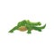 Crocodile, amphibian animal cartoon vector Illustration