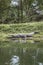 Crocodile in Chitwan National Park, Nepal