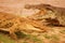 Crocodile couple in Africa Tsavo National Park