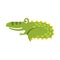 Crocodile Curling Up Like Cat Flat Cartoon Green Friendly Reptile Animal Character Drawing