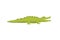 Crocodile Cute Character. Aligator vector cartoon illustration