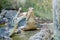 Crocodile eating meat during feeding time at the mini zoo crocodile farm