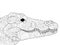 Crocodile head coloring antistress, drawings black lines and white background. Nature, flowers. Raster