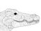 Crocodile head coloring antistress, drawings black lines and white background. Nature, flowers. Vector