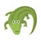 Crocodile icon, cartoon style