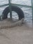 Crocodile at lake victoria means a