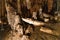 Crocodile look-alike formation in Tham Nam Lod caves in Mae Hong Son province Thailand, from stalagmite and stalactite