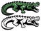 Crocodile mascot