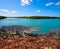 Crocodile Mexico Riviera Maya photomount