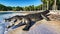 The crocodile rests by the river 3d rendering