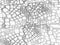 Crocodile Seamless Pattern.