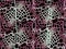 Crocodile Seamless Pattern.