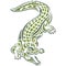 Crocodile silhouette drawn by various lines of green on a white isolated background. Tattoo, mascot logo - funny alligator