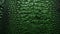 Crocodile skin textured background. Dark green alligator scales. Lizard, reptile skin. Concepts of texture, luxury
