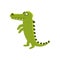 Crocodile Smiling Standing Upright, Cartoon Character And His Everyday Wild Animal Activity Illustration
