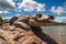 Crocodile Sunbathing on Riverbank