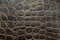 Crocodile textured leather background